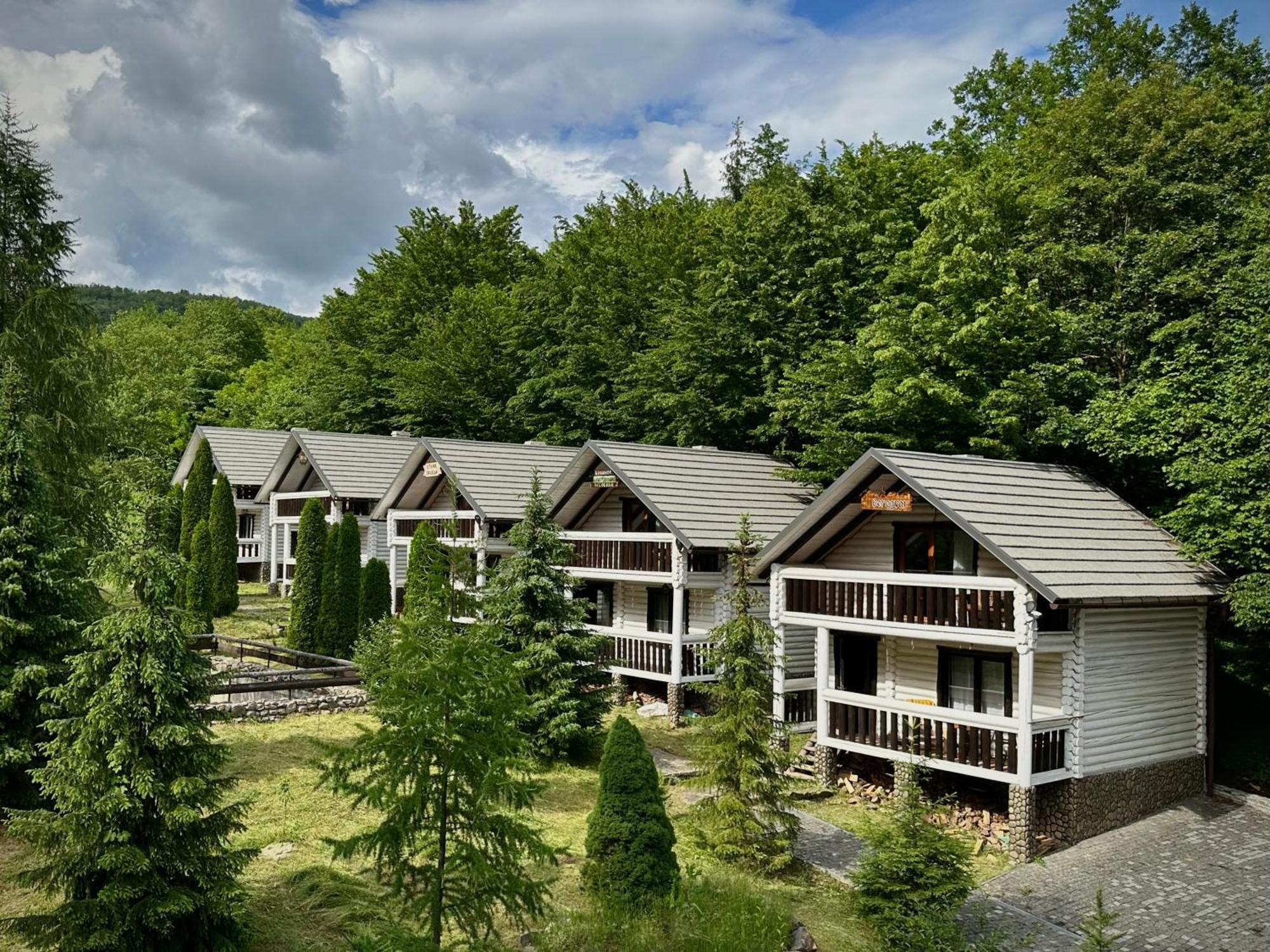 База Відпочинку Forest Stream Svaliava Eksteriør billede